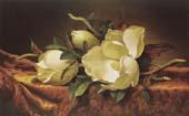 Martin Johnson Heade Magnolia China oil painting art